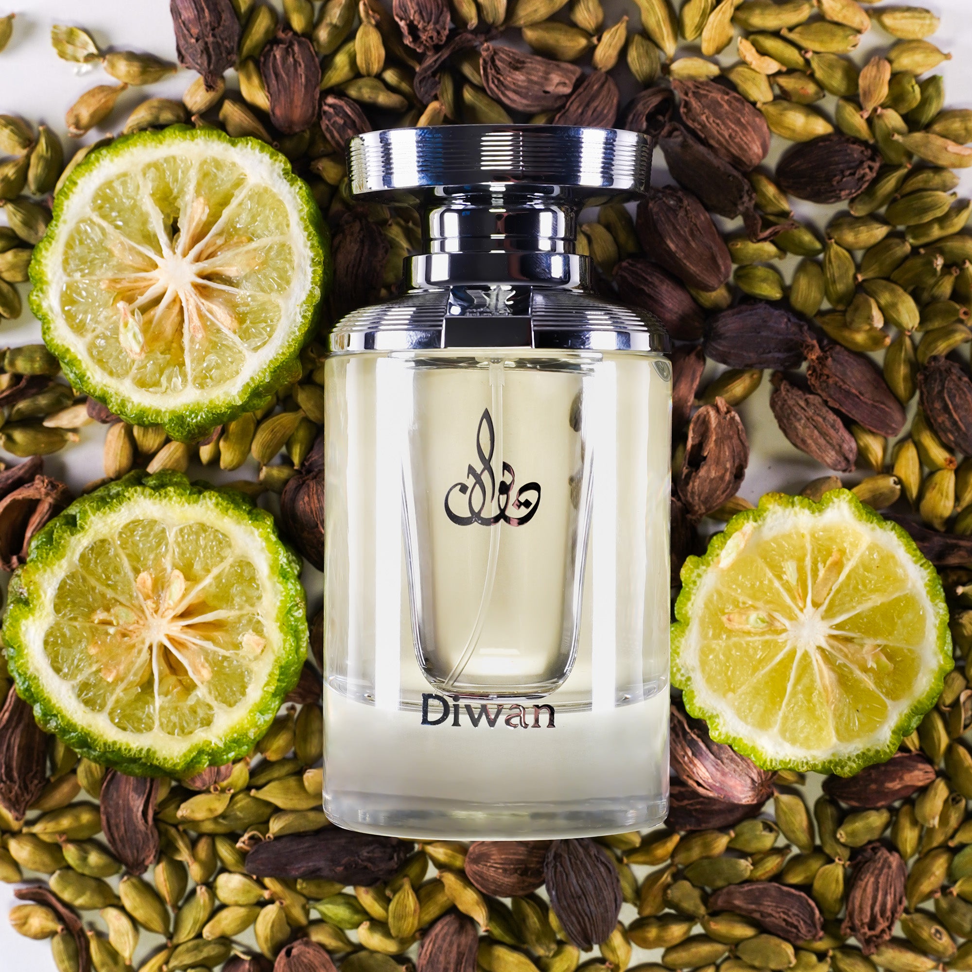 ARABIAN OUD DIWAN Woda perfumowana unisex 100 ml #2
