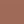 CLASSIC NUDE 501