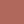 01 Apricot
