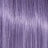 Wisteria