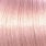 Titanium Rose