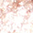 Fairy Glitz
