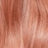 Peach Blush